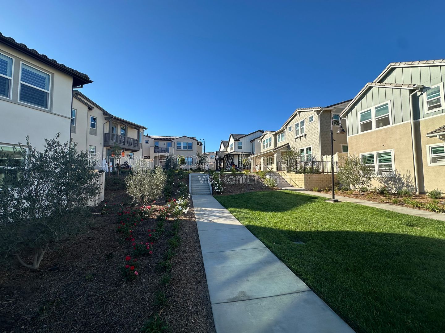 ONE BEDROOM RENTAL with Ensuite Bathroom and Shared Furnished Common Areas in *Del Sol - Ventura* property image