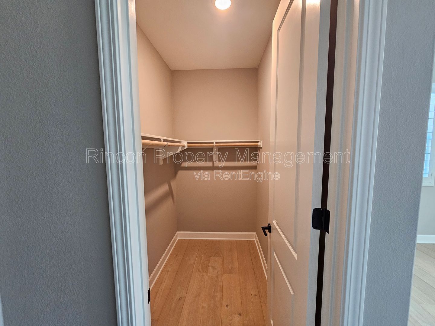 ONE BEDROOM RENTAL with Ensuite Bathroom and Shared Furnished Common Areas in *Del Sol - Ventura* property image