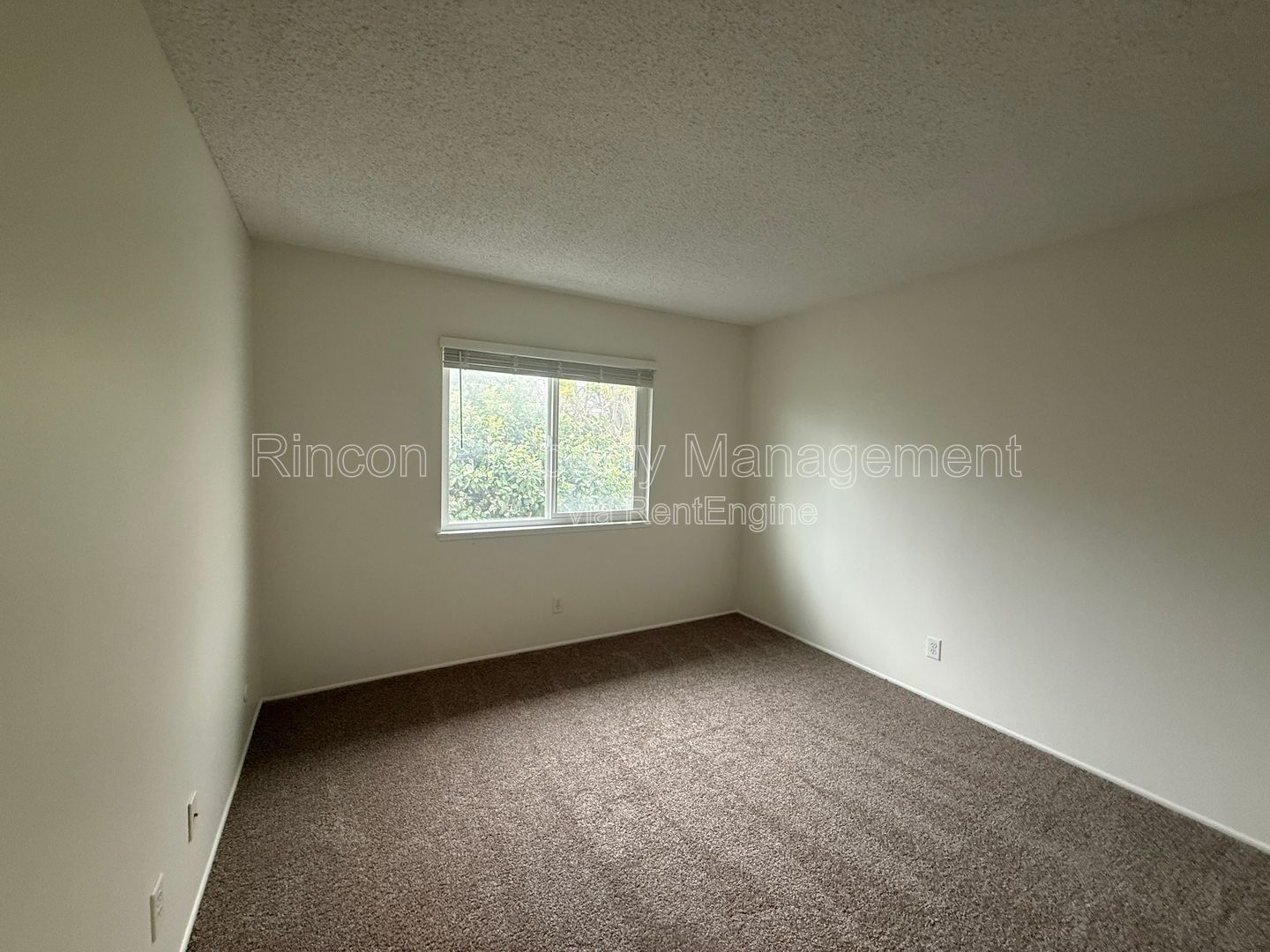 Coastal Living at Its Finest – Stylish Ventura Beach property property image