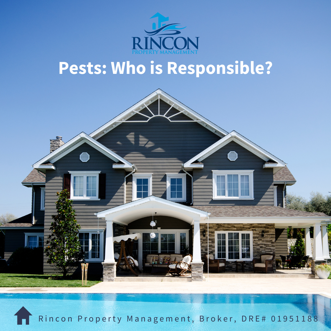 Pests: Who’s Responsible?